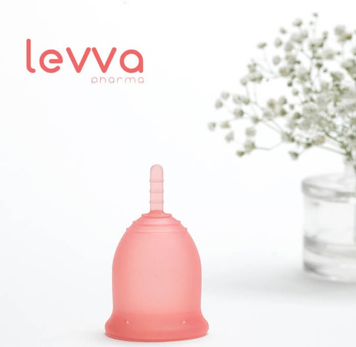 کنار تصویر گل عروس وسط عکس کاپ قرمز رنگ و در سمت چپ نپشه Levva